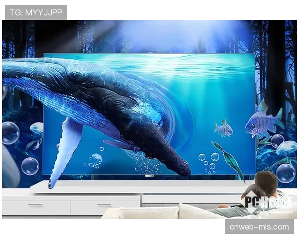 游泳赛事转播权谈判：流媒体平台与传统电视网的竞逐